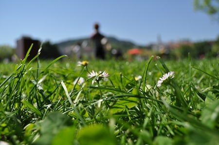 DSC_0726 DSC_0726