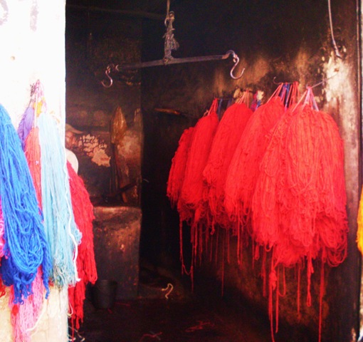 [SDC133843.jpg]