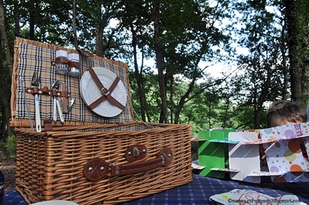 picnicDSC_0032 picnicDSC_0032