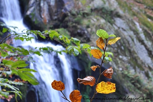 Cascate DSC_0490