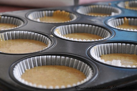 carrot cupcakesDSC_0282 carrot cupcakesDSC_0282