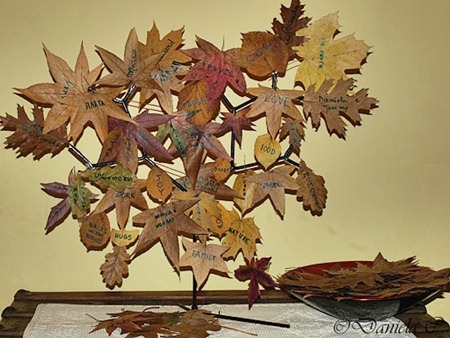 albero albero