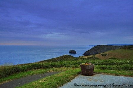 TintagelDSC_0371 TintagelDSC_0371