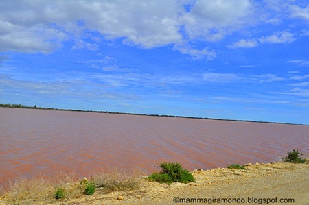 camargueDSC_0120 camargueDSC_0120