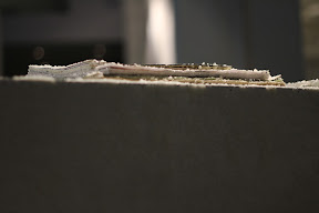 bookshelf(detail)