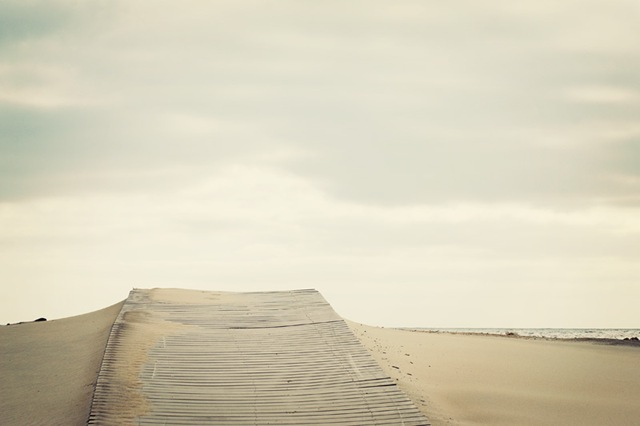 [DSC_0873 copy 2[4].jpg]