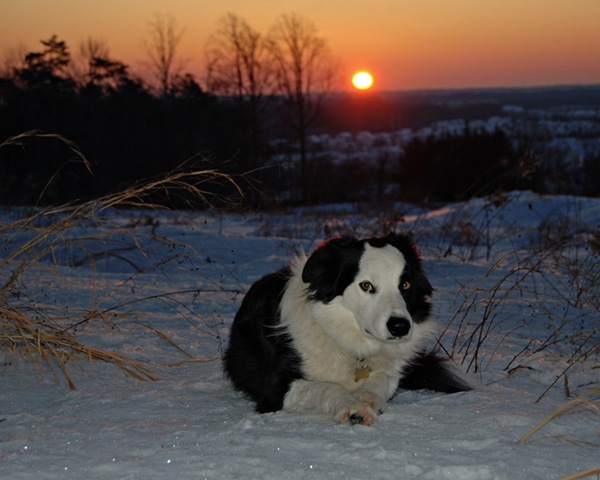 [DSC_0181 copy 2[4].jpg]