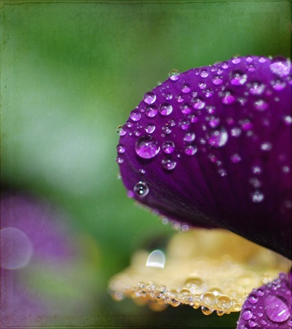 [DSC_0016 copy 2[6].jpg]