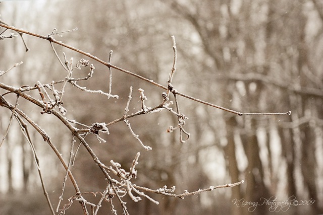 [DSC_0024copy24.jpg]