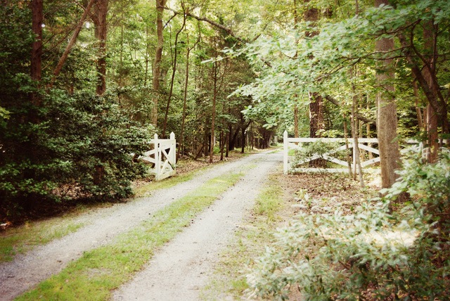 [DSC_0175copy29.jpg]