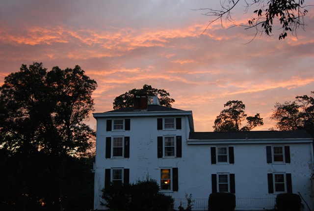 [DSC_0839 copy 2[5].jpg]