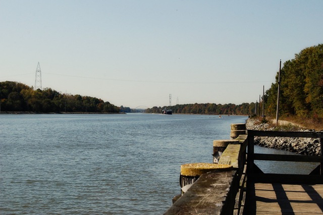 [DSC_0411 copy 2[4].jpg]