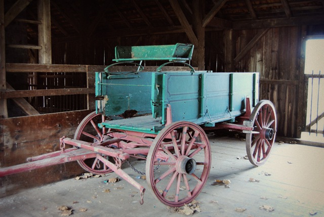 [DSC_0957 copy 2[6].jpg]