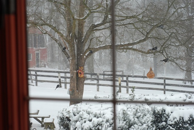[DSC_0199 copy 2[4].jpg]