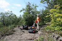 IMG_1855.JPG (Carp Lake Landing, Michigan, United States) Photo