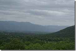 DSC00709
