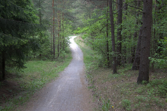 Viengis link nedidelės daubos Viengis link nedidelės daubos