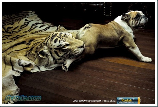 prints_16