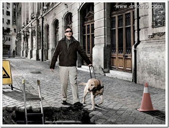 dogs_02