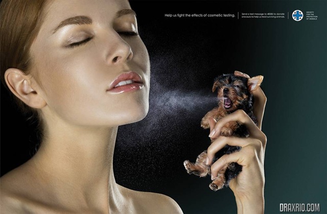 [ENPA_Spray[7].jpg]