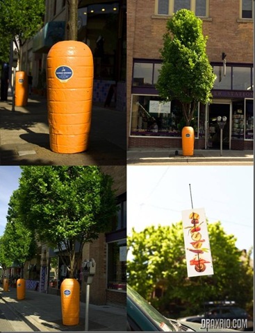 [carrotwrap-1-thumb[4].jpg]