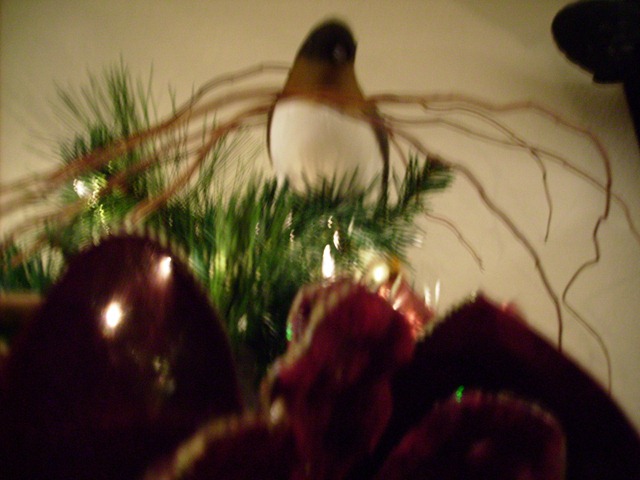 [Barrholidaymantel0231.jpg]