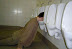 Drunk as hell - This guy has some serious drinking problem. And stinky breath.