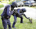 SWAT - Suspect: terrorist cat.
