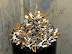Smoking kills - This ashtray looks like a hedgehog of death.