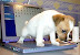 Puppy - It was a nice $2000 worth laptop.