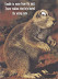 Poor Trevor - Unable to move from the spot - Trevor realises that he's buried the wrong nuts.