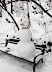 Snowman - Born with no hands and no legs what other choice did he have?