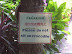 Warning - Please don't sit on a crocodile.