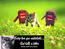 Please think of the kittens - Every time you masturbate - God kills a kitten...