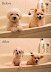Pets - Before and after bath.