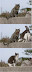There's no such thing as sharing - Something about that series of pictures made me laugh.