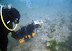 Scuba dog - Well of course - he's looking for catfish.