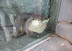 Retarded otter - Not too smart - but extremely cute!