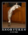 Shoryuken - Right - down - right + PUNCH!