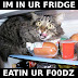 I'm in ur fridge - Eatin ur foodz!