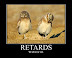Retards - We all know one.