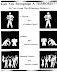Do you know the difference? - Can you recognize a terrorist?