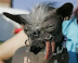 World's ugliest dog, 2007 - Elwood - a 2-year-old Chinese Crested and Chihuahua mix - was crowned the world's ugliest dog on June 22 - 2007.