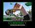 Curiosity - You'll never know what you'll find.