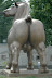 Steel horse - Awesome Russian horse sculpture.