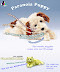 Paranoia puppy - The loveable - huggable toy with over 50 sayings.
