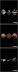 Orion telescopes ads - Why people buy telescopes in the first place? To discover.