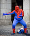 Spider...something - Looks like Spidey put on a couple of pounds over the holidays.
