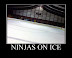 Ninjas on ice - There are hundreds of them.