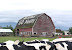 Barn warning - I'm not sure if this will keep 'em away.